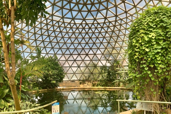 Inside the Tropical Display Dome, lush greenery and vibrant flowers create a tropical oasis, Brisbane, Australia