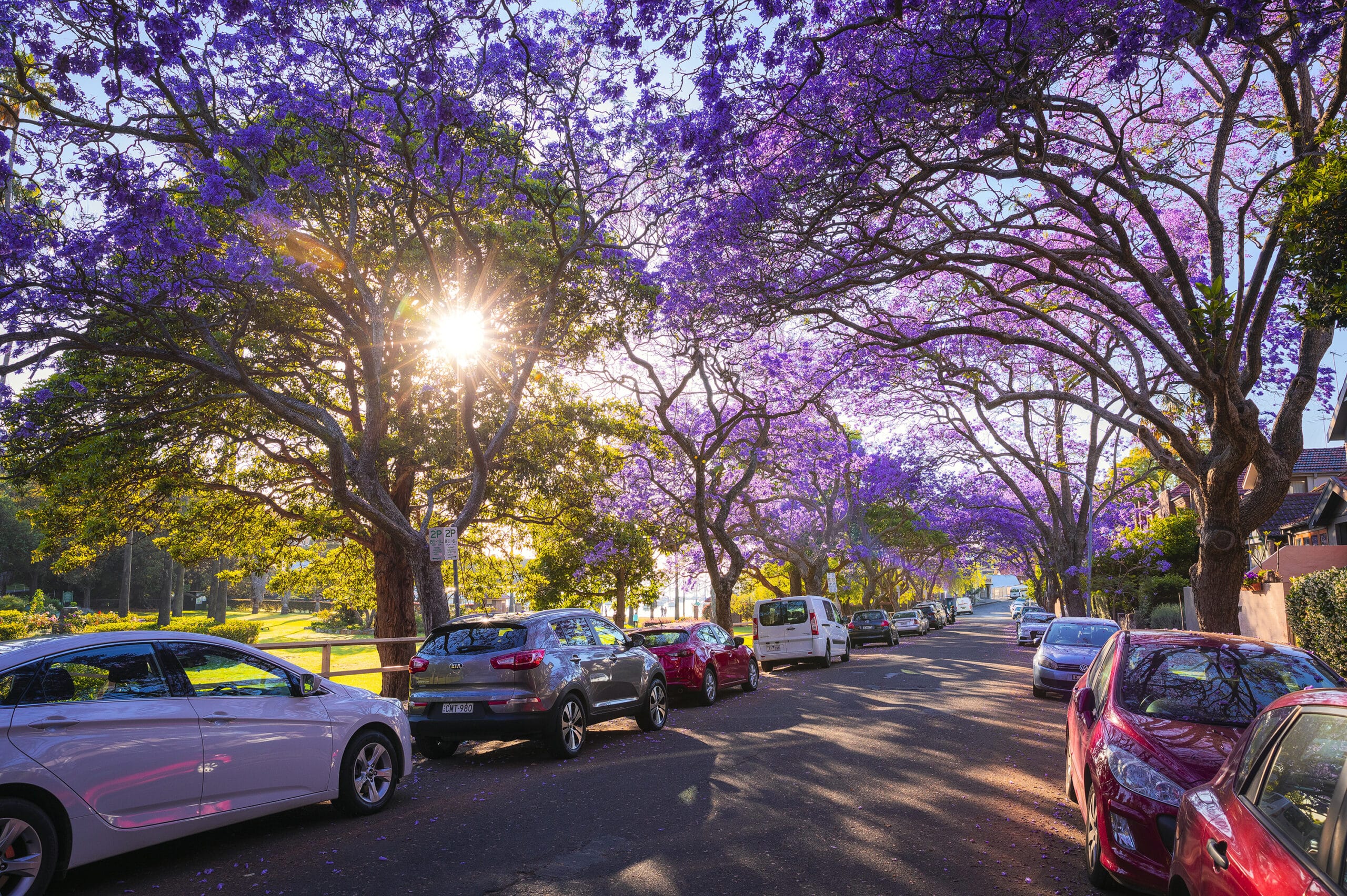 Things to do in Sydney over the Spring