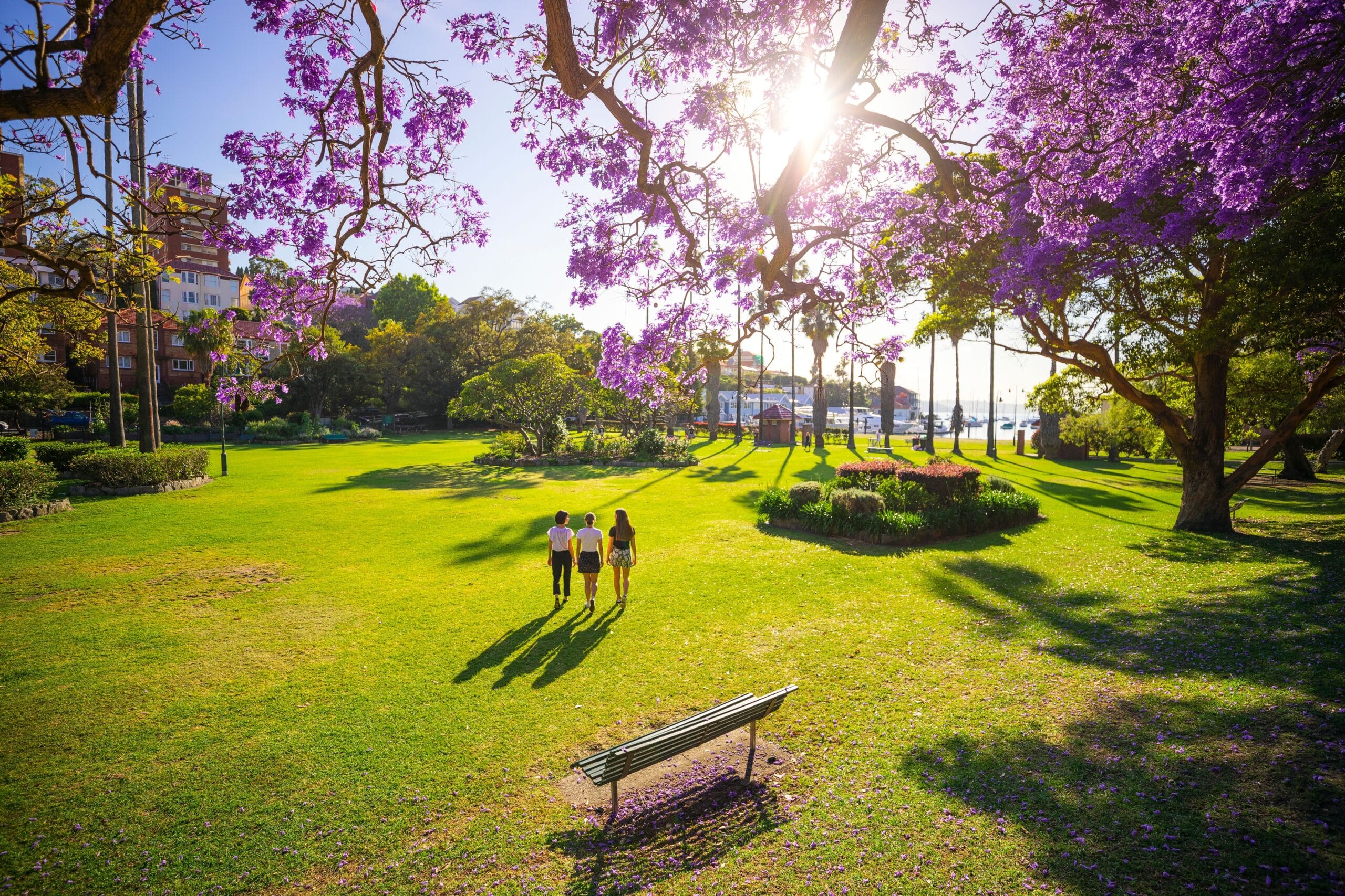 Sydney in Spring 2025: Jacarandas, Art and Racing by the Harbour