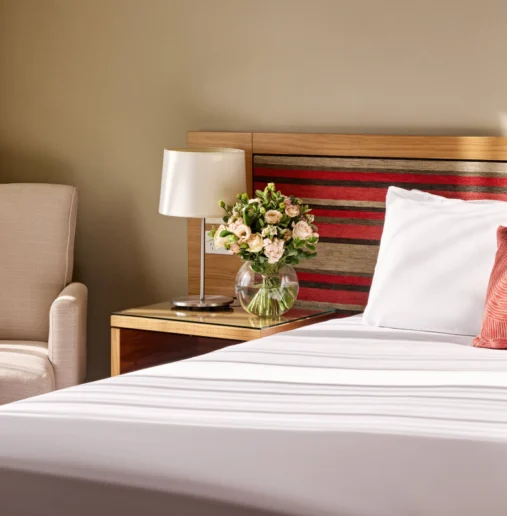 Image depicting a comfortable hotel room with a large bed, decorative pillows, elegant furnishings, and a cityscape visible through a large window. Calm and inviting atmosphere.